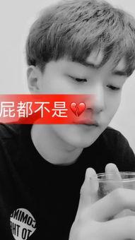 快手赵金亮的资料