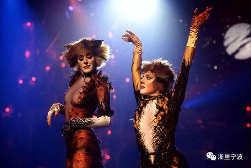 音乐剧猫花絮,揭秘音乐剧背后的精彩花絮与幕后故事