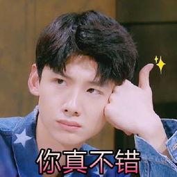 白敬亭 摇摆 表情包,演绎幽默魅力，圈粉无数