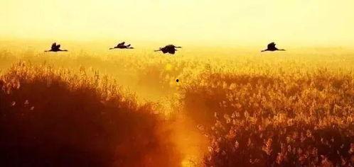 有背景故事的音乐,探寻音乐背后的感人故事